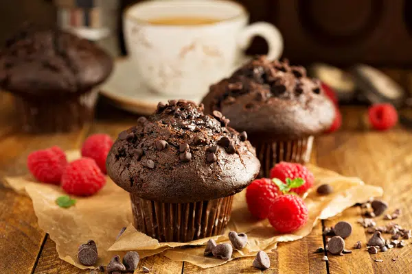 chocolate muffin